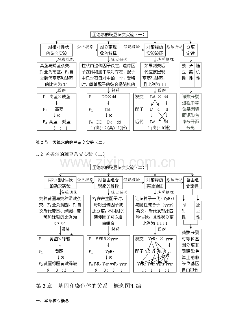 高中生物必修2概念图汇编.doc_第2页