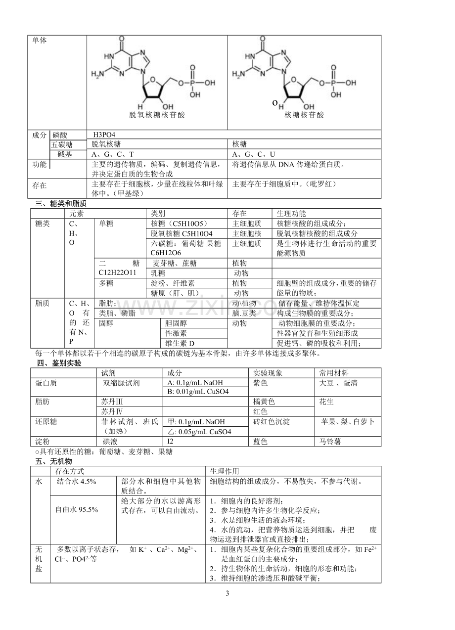 高中生物必修一、必修二、必修三知识点总结.doc_第3页