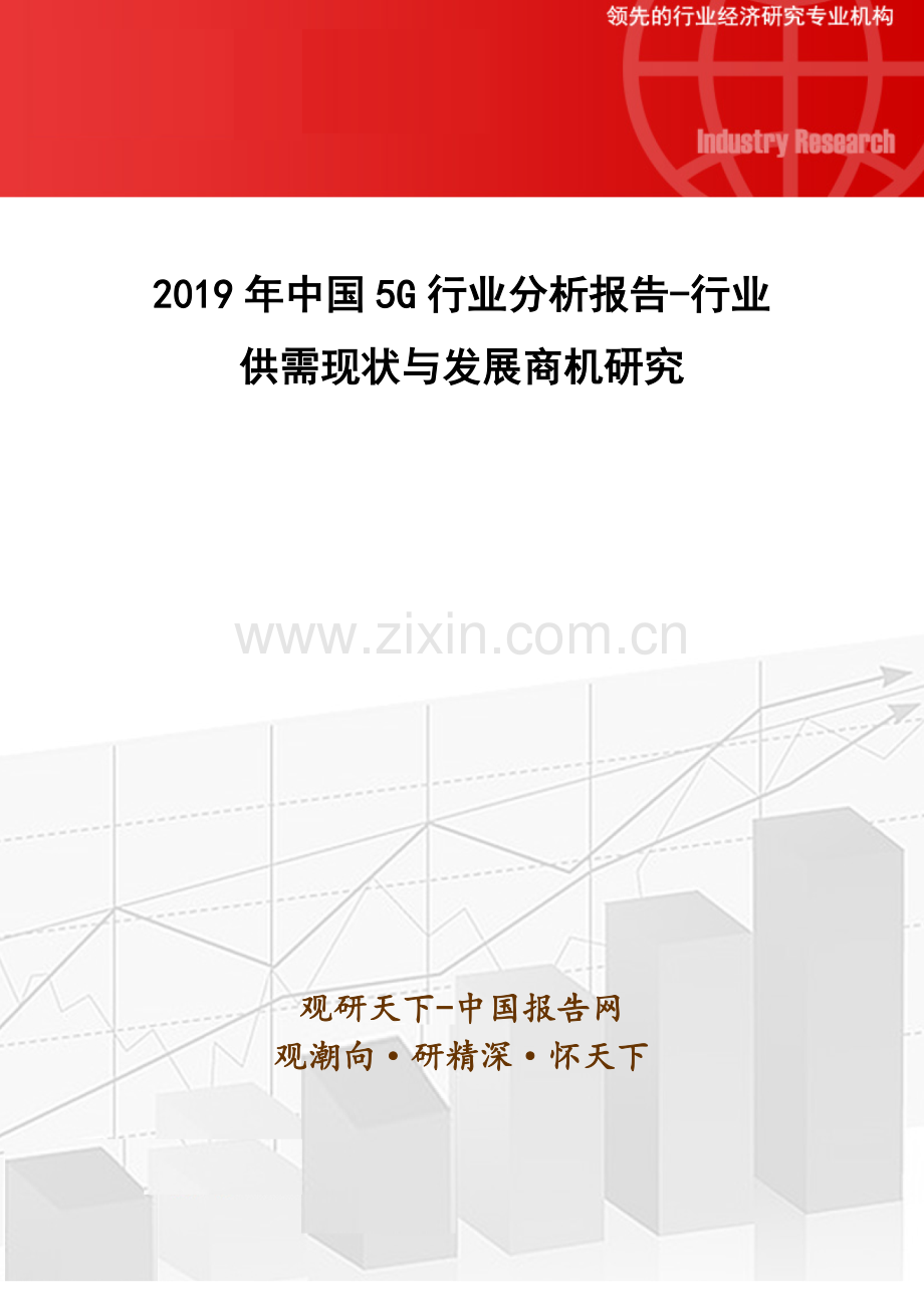 2019年5G行业分析报告-行业供需现状与发展商机研究.doc_第1页