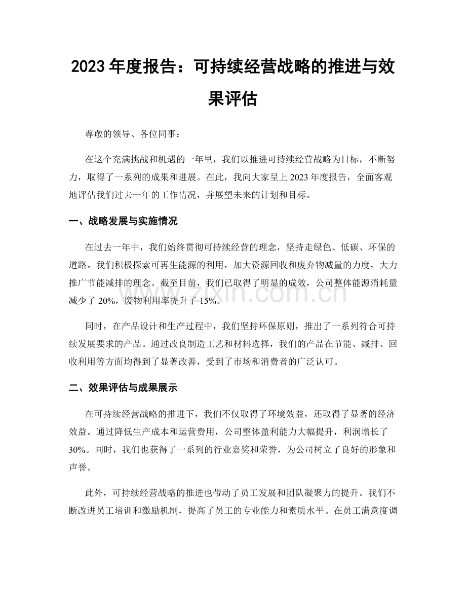 2023年度报告：可持续经营战略的推进与效果评估.docx_第1页