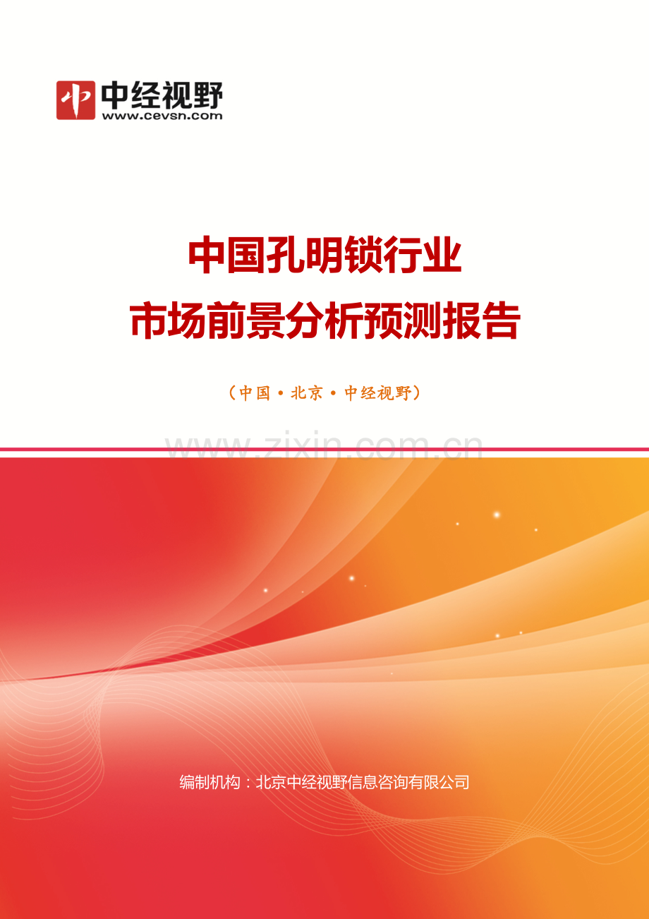 中国孔明锁行业市场前景分析预测年度报告(目录).doc_第1页