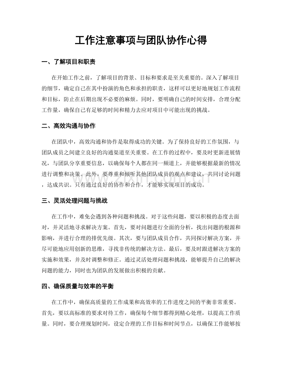 工作注意事项与团队协作心得.docx_第1页