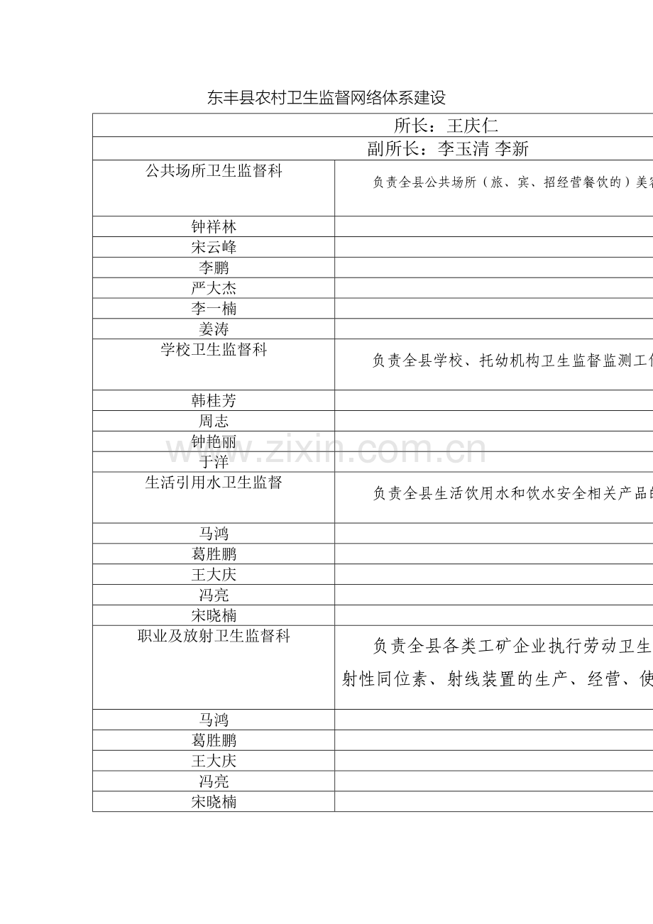 东丰县农村卫生监督网络体系建设.doc_第2页