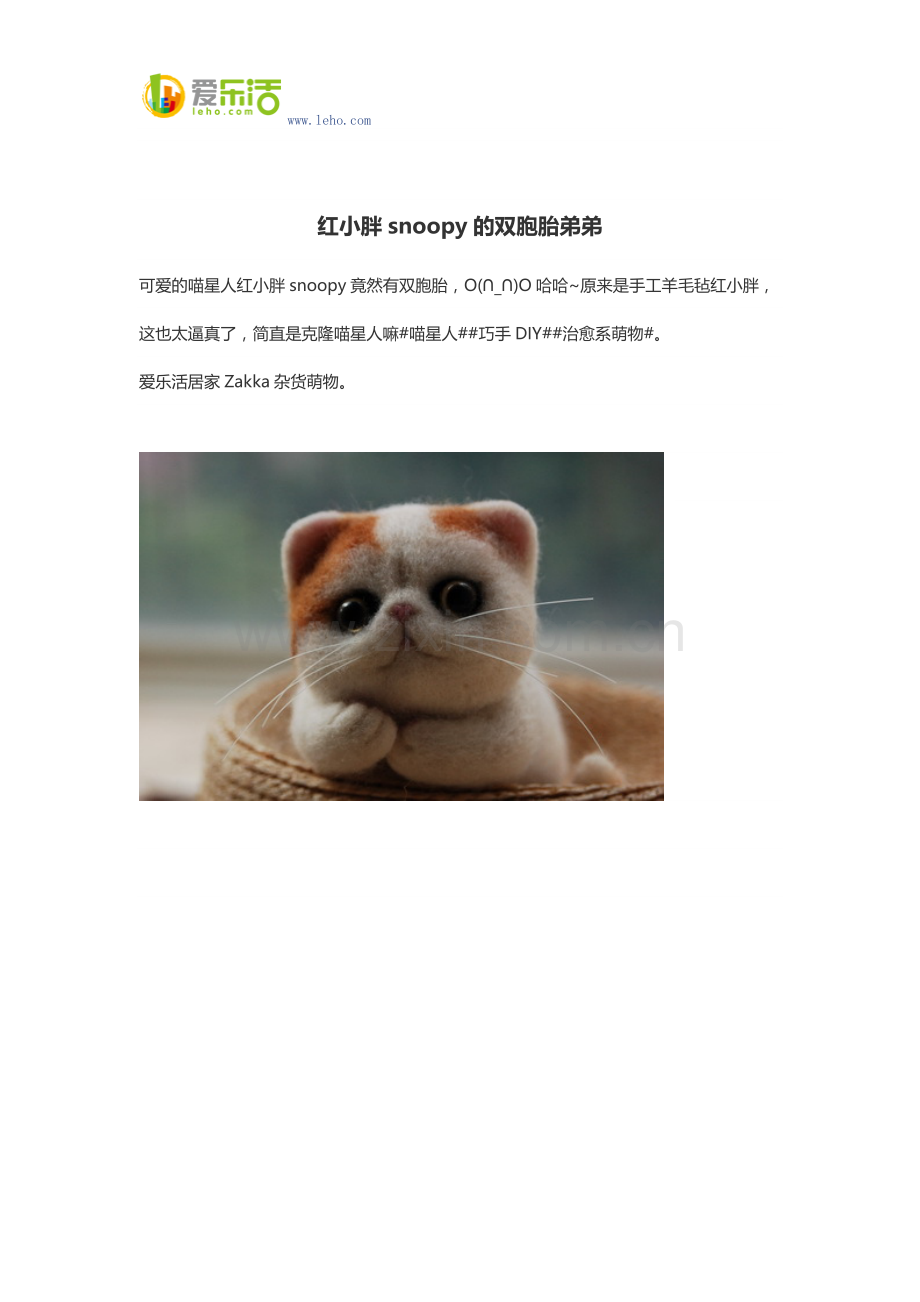 红小胖snoopy的双胞胎弟弟.doc_第1页