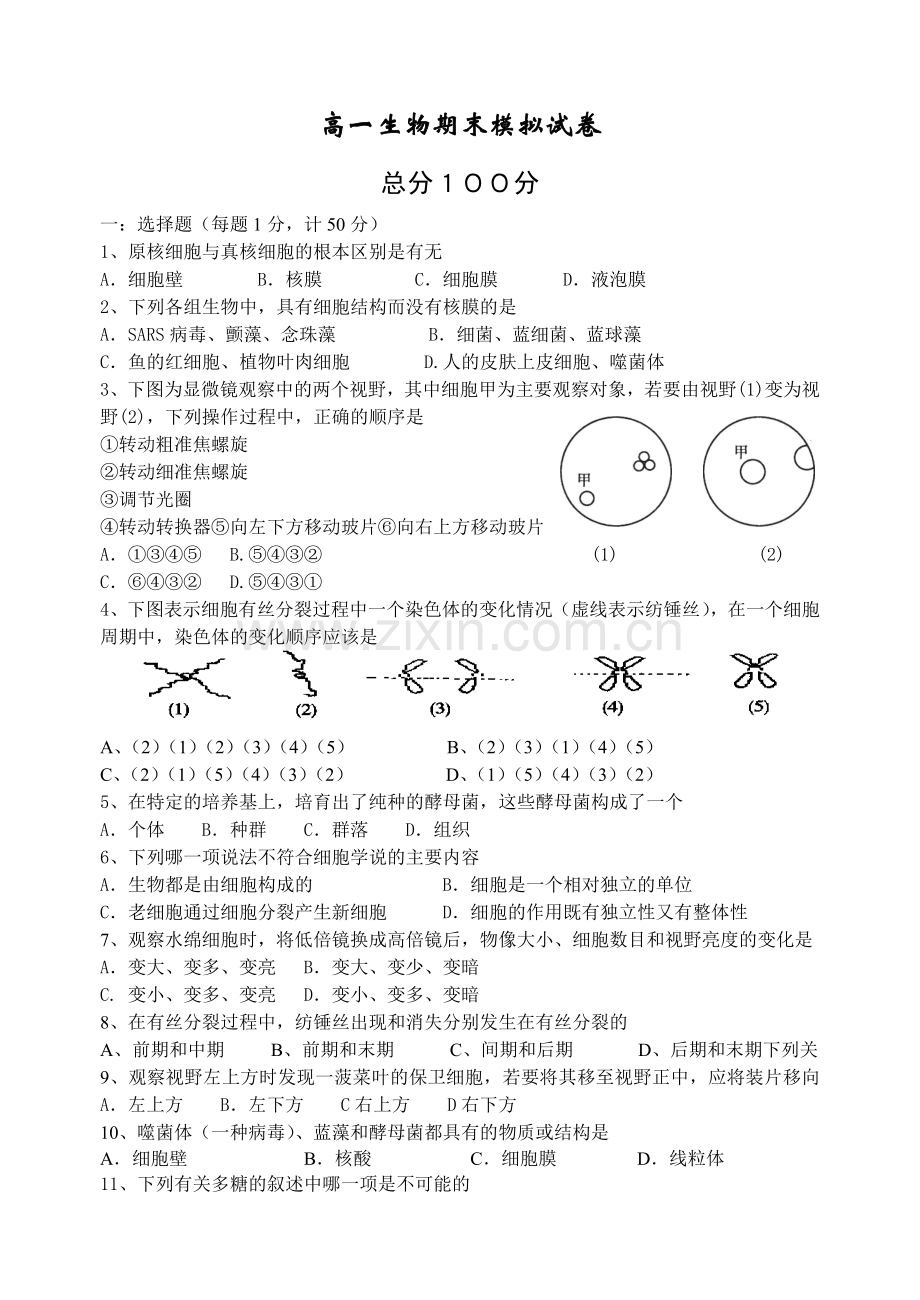 高一生物期末模拟试卷.doc_第1页