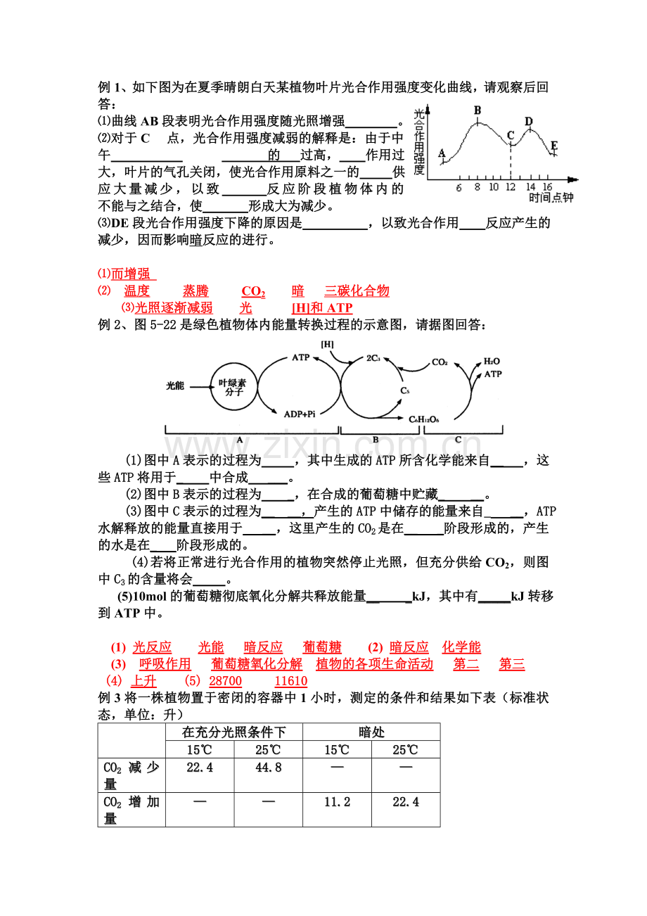 高中生物光合作用-呼吸作用专项训练.doc_第2页