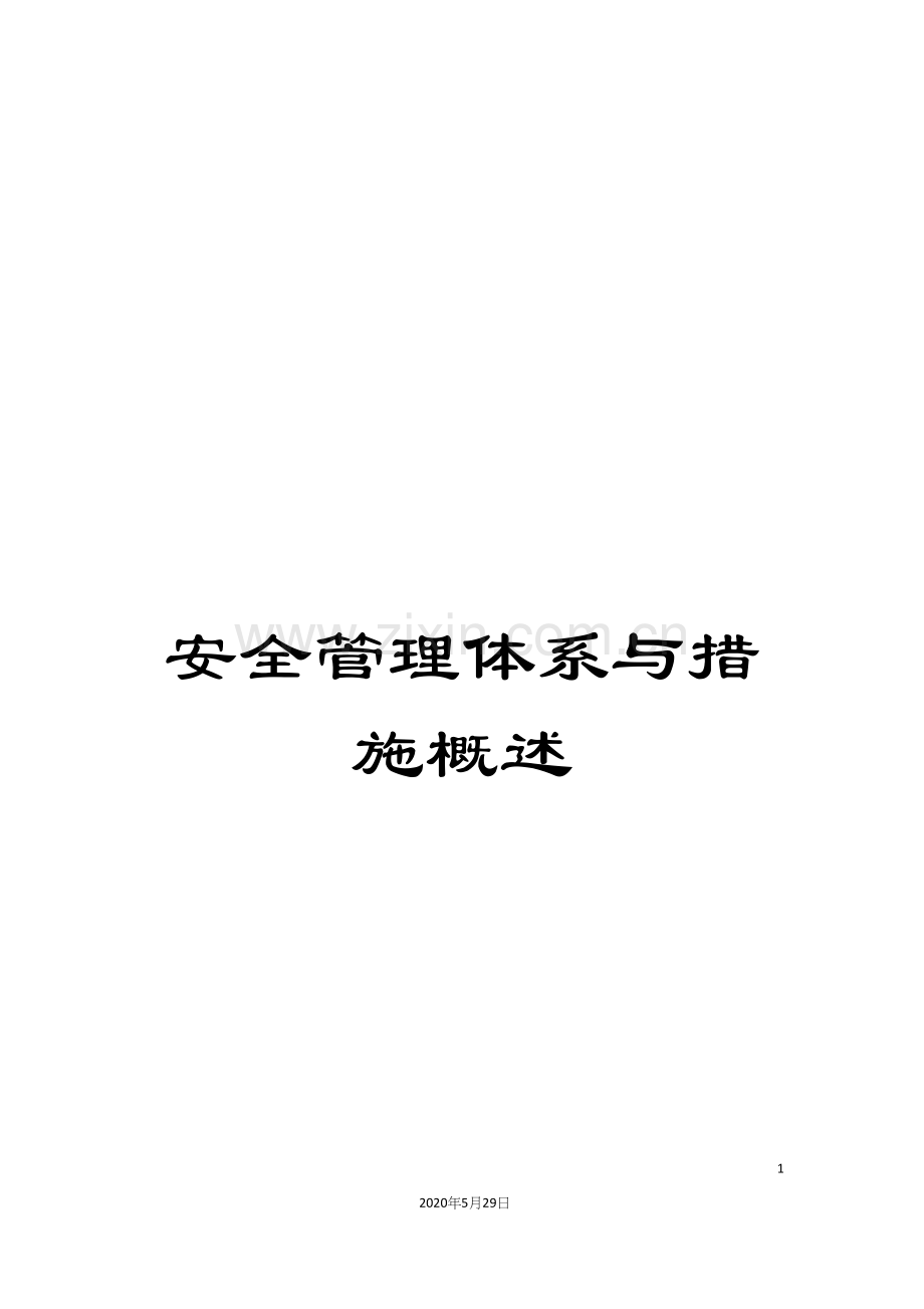 安全管理体系与措施概述.docx_第1页