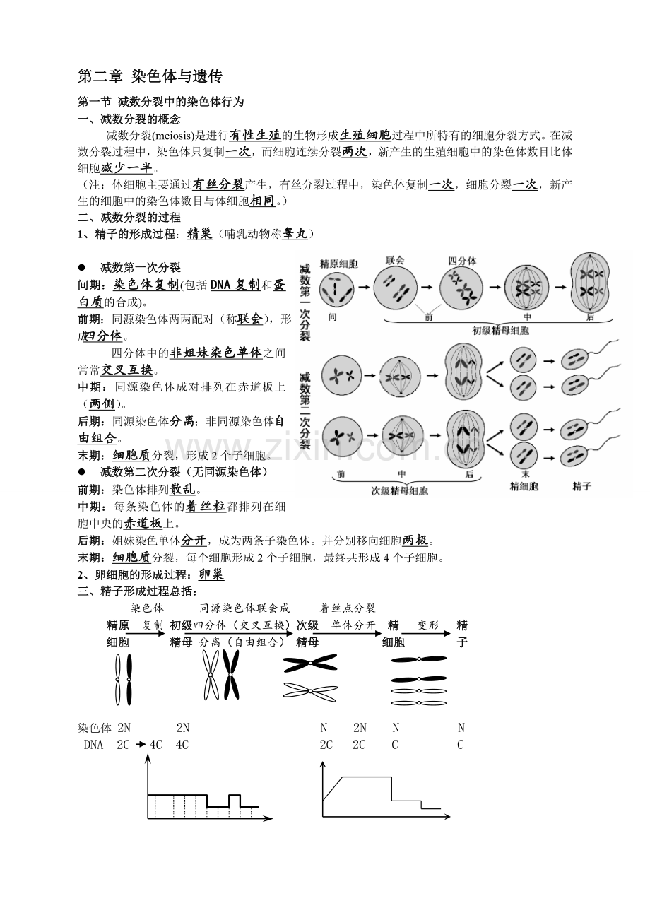 浙科版生物必修二知识点总结.doc_第3页