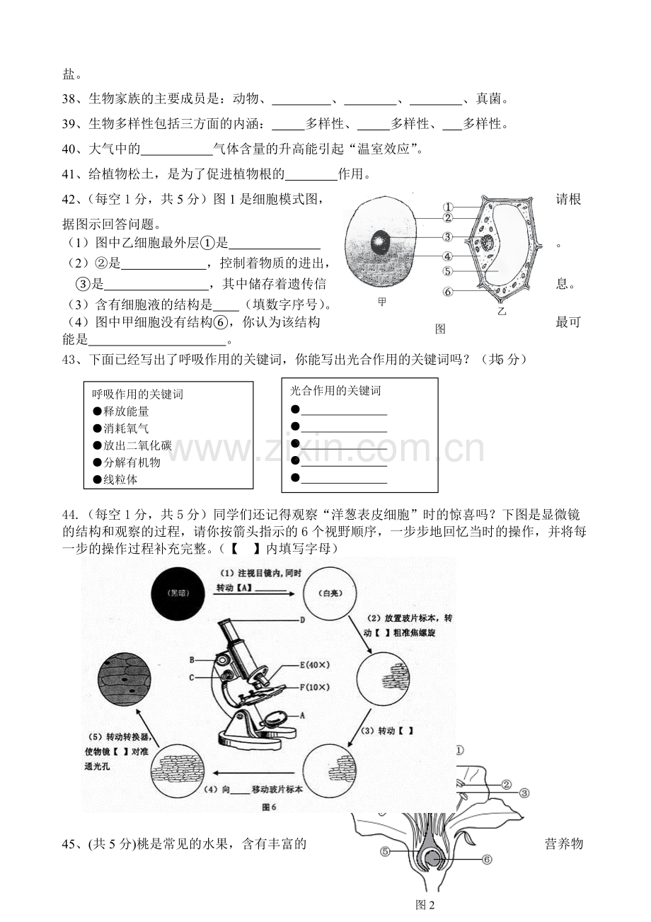 人教版七年级上册生物期末试卷及答案.pdf_第3页