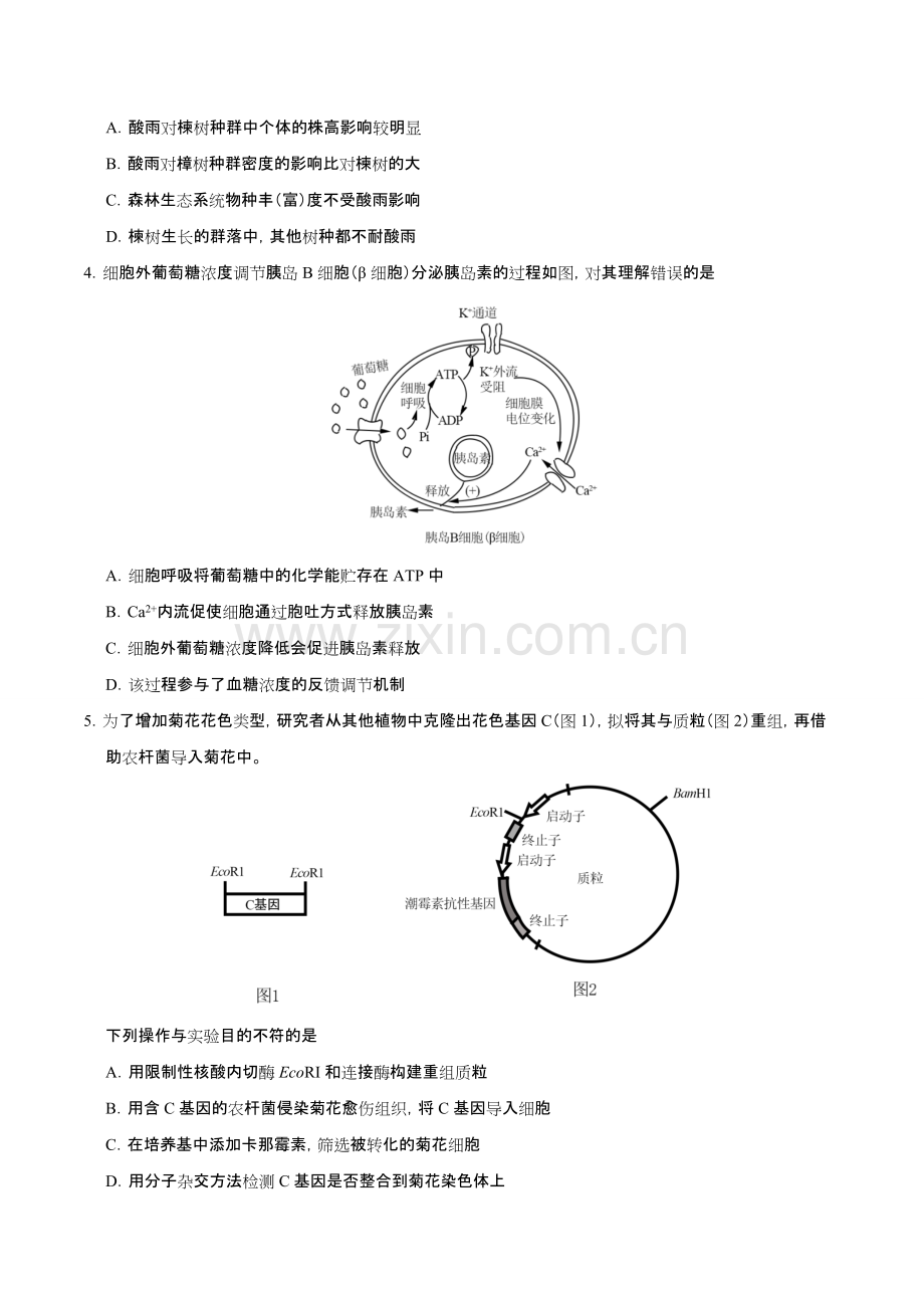 北京高考理综生物试题(卷)(含答案解析).pdf_第2页