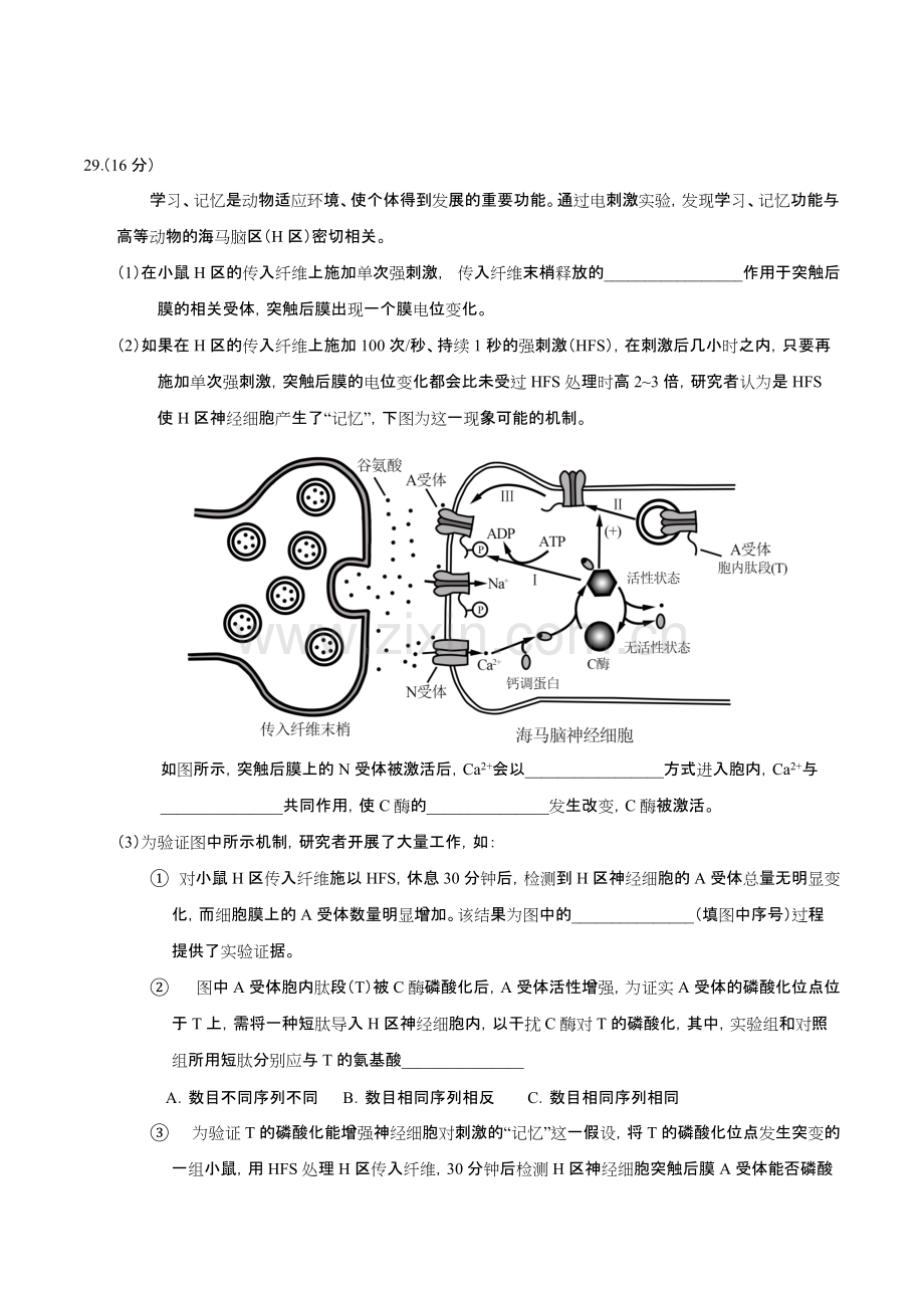 北京高考理综生物试题(卷)(含答案解析).pdf_第3页