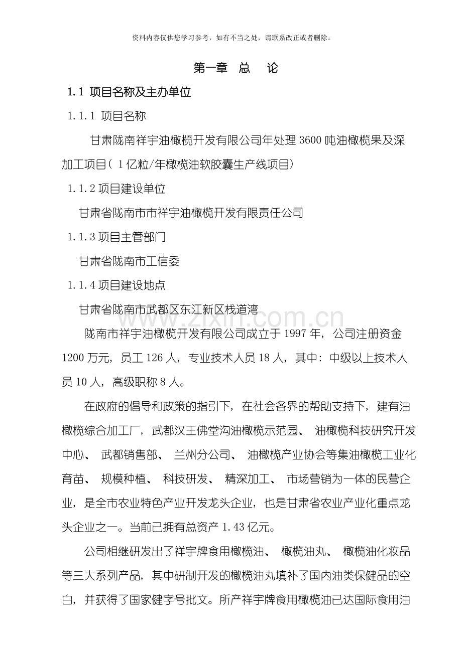 亿粒油丸可行性研究报告样本.doc_第1页