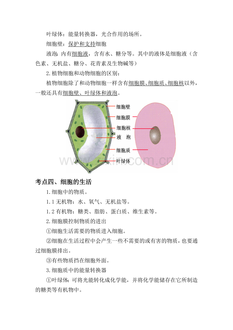 人教版生物中考知识点复习专题二《生物体的结构层次》.doc_第3页