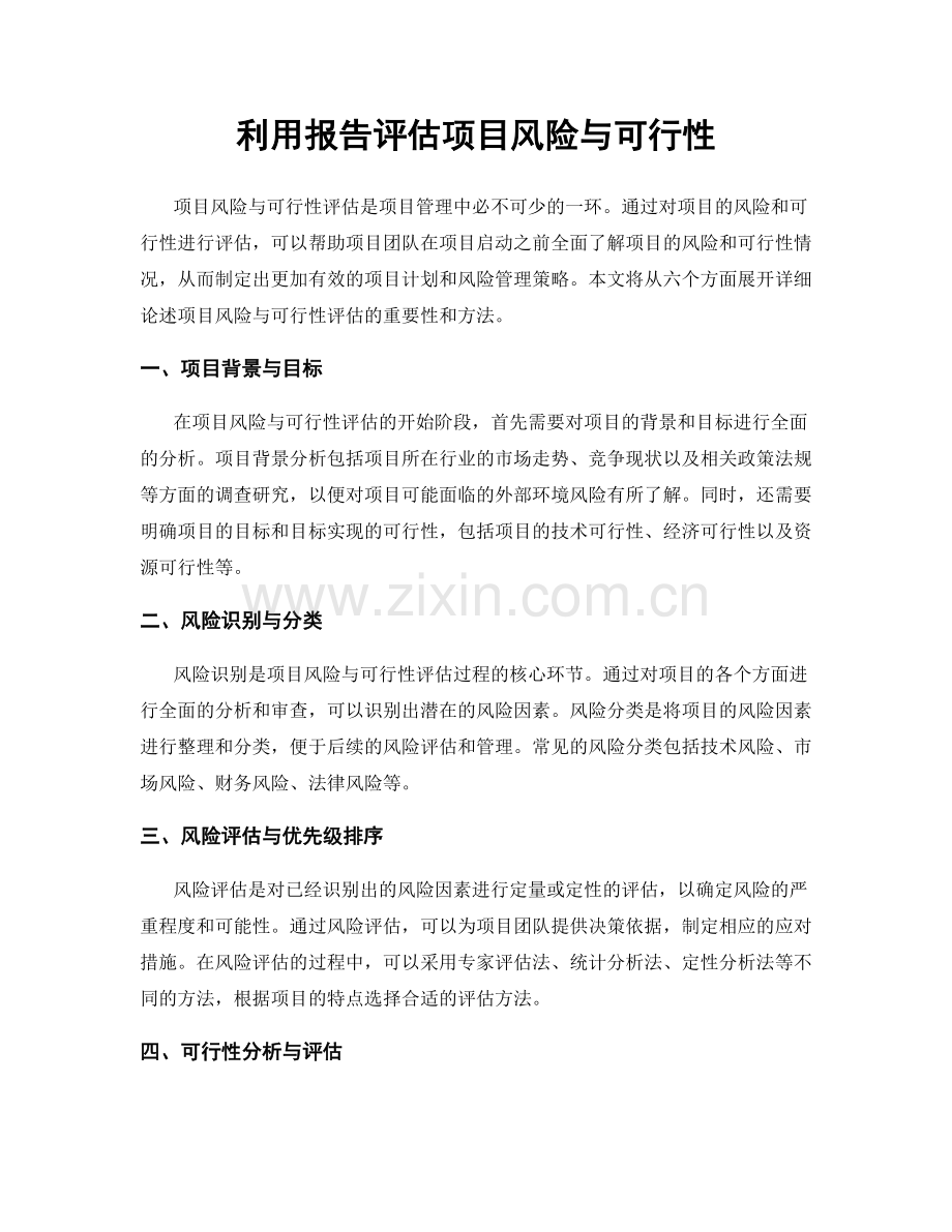 利用报告评估项目风险与可行性.docx_第1页