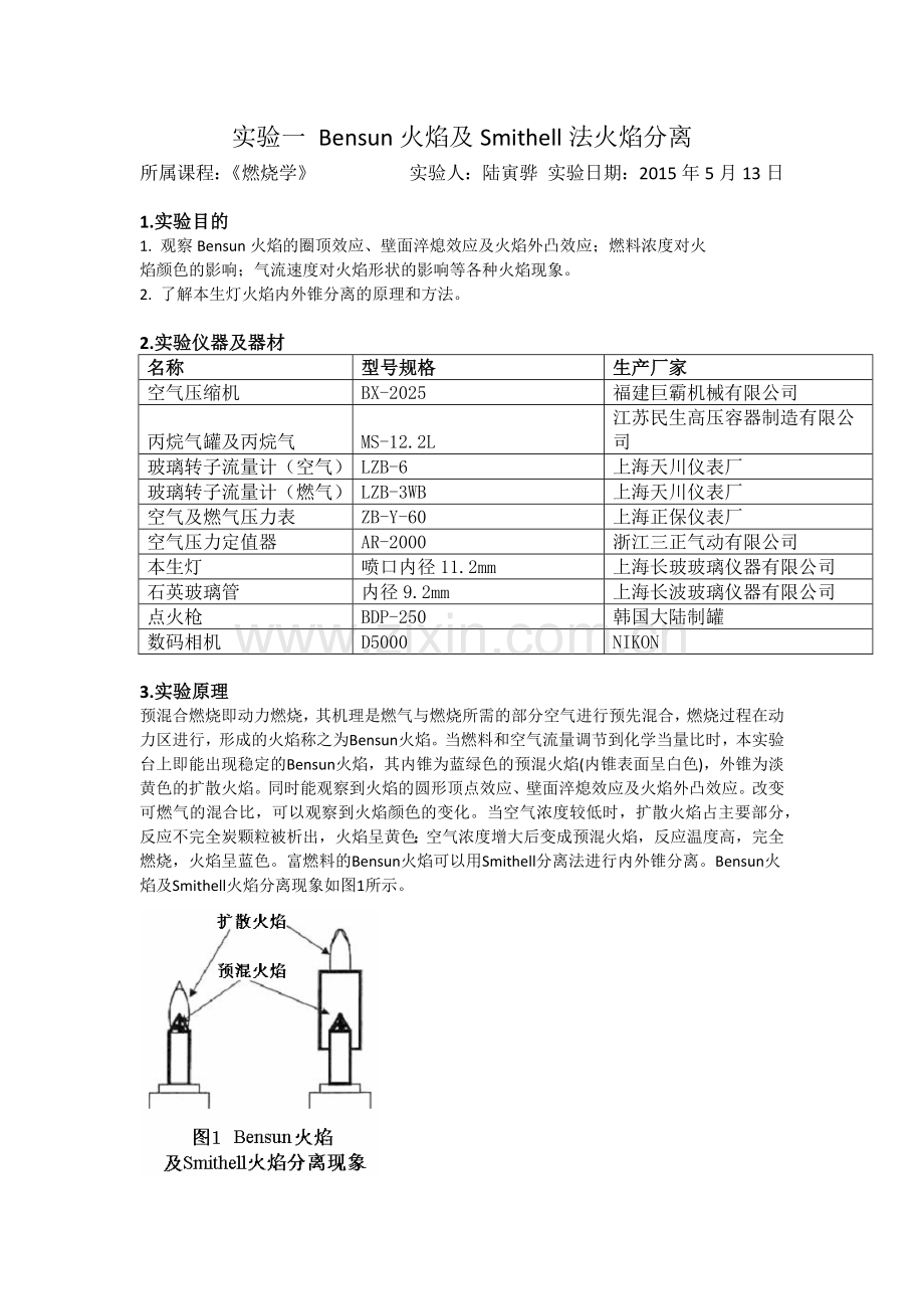 燃烧学实验报告.docx_第1页