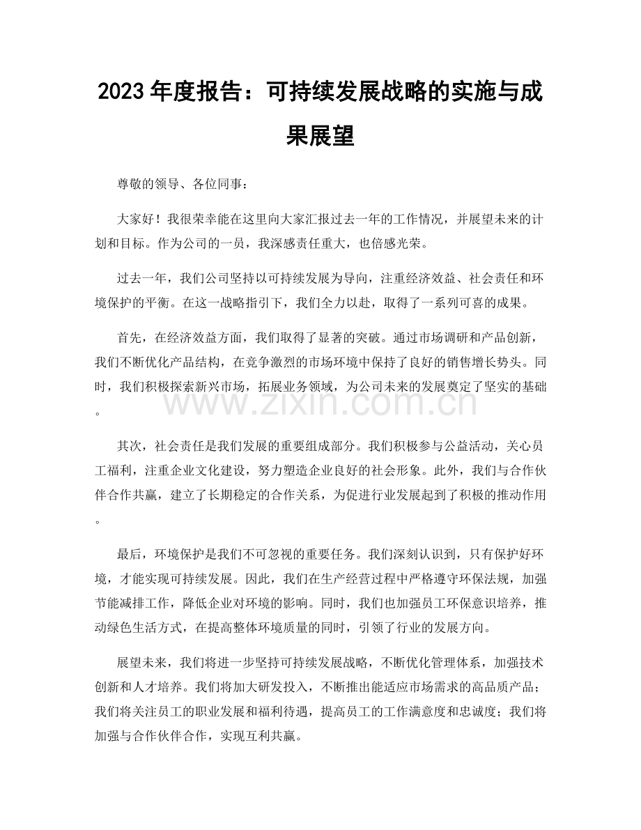 2023年度报告：可持续发展战略的实施与成果展望.docx_第1页