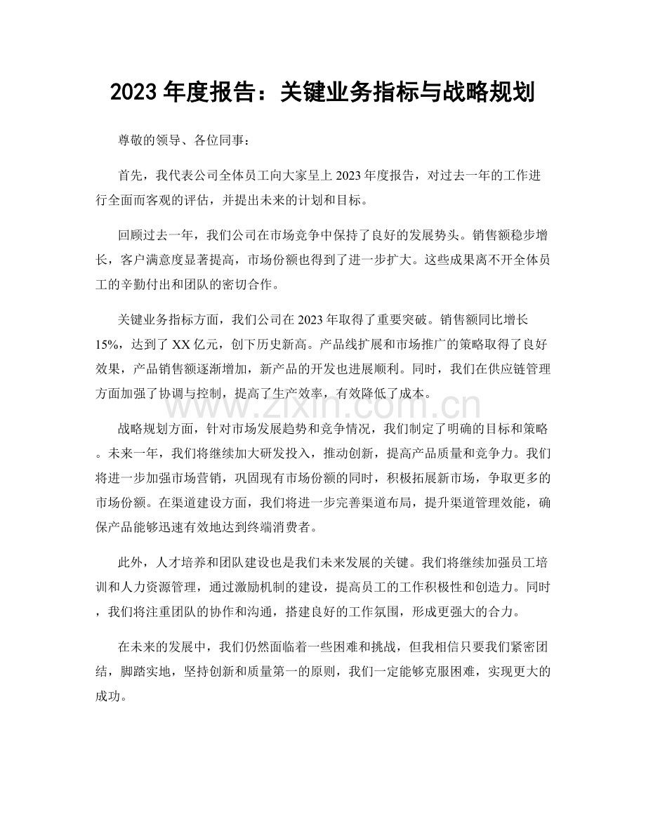 2023年度报告：关键业务指标与战略规划.docx_第1页