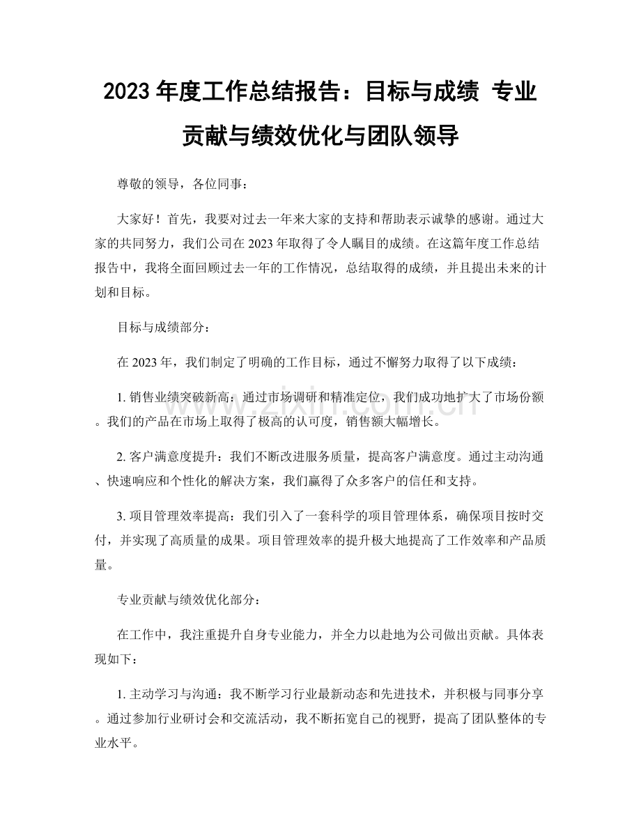 2023年度工作总结报告：目标与成绩 专业贡献与绩效优化与团队领导.docx_第1页