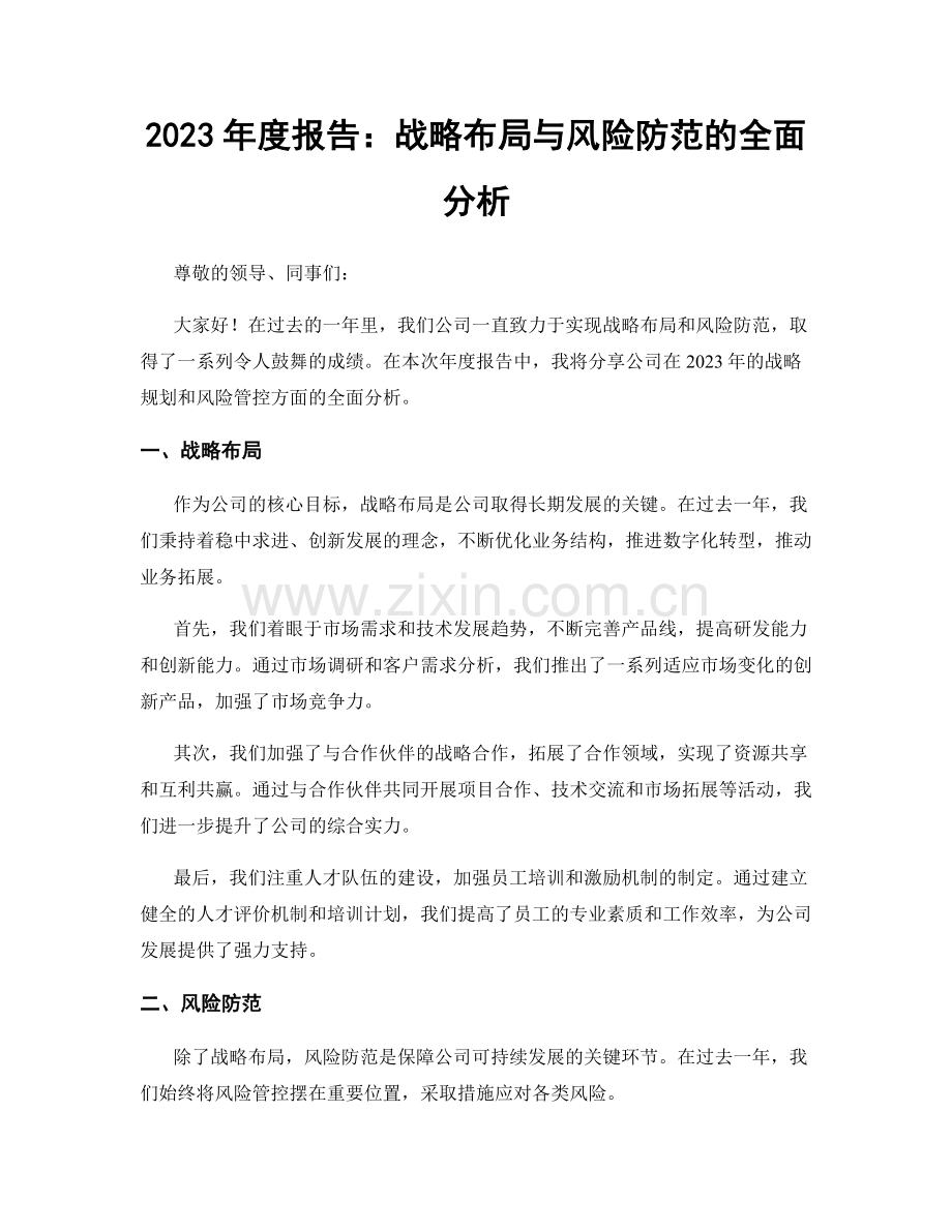 2023年度报告：战略布局与风险防范的全面分析.docx_第1页