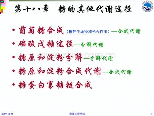 第十八章糖代谢其他途径-课件.pdf