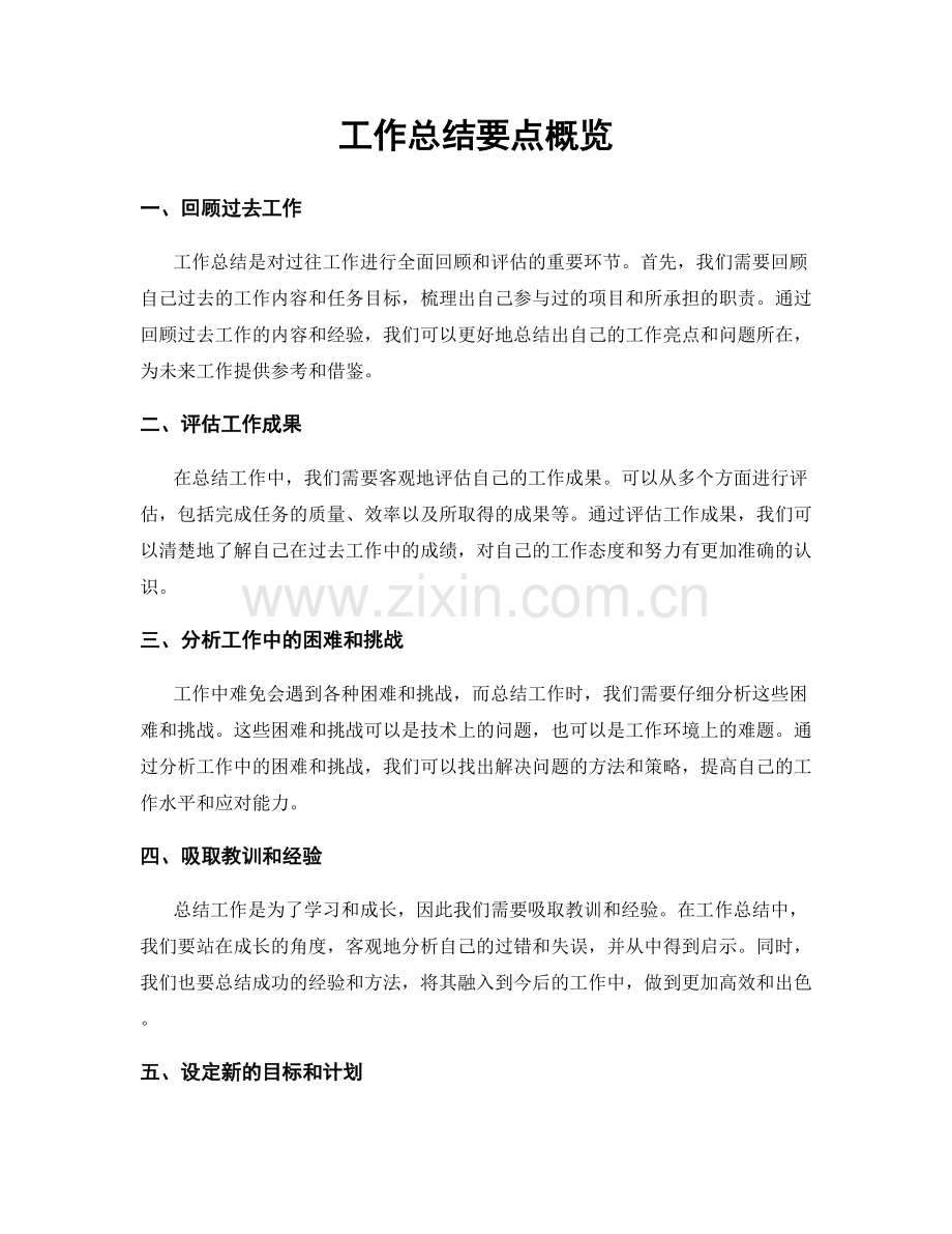 工作总结要点概览.docx_第1页