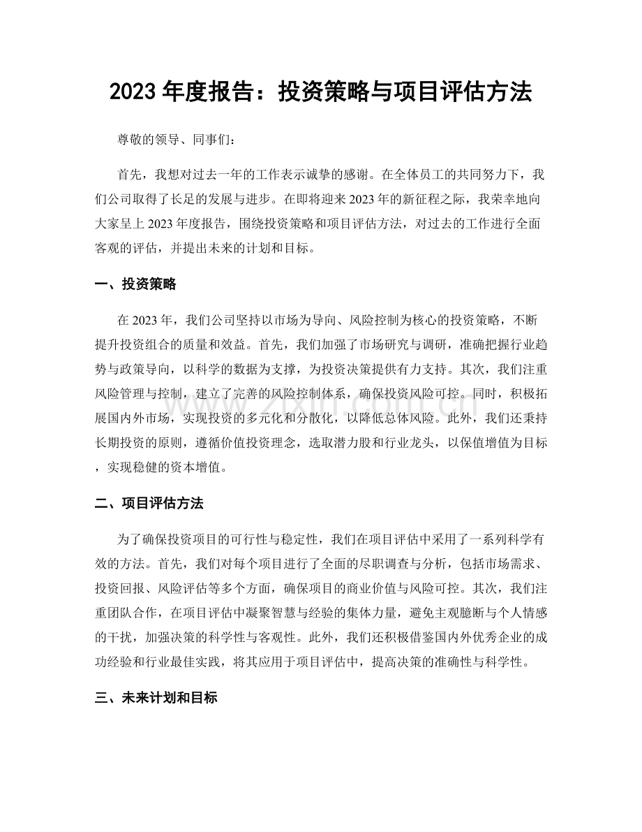 2023年度报告：投资策略与项目评估方法.docx_第1页