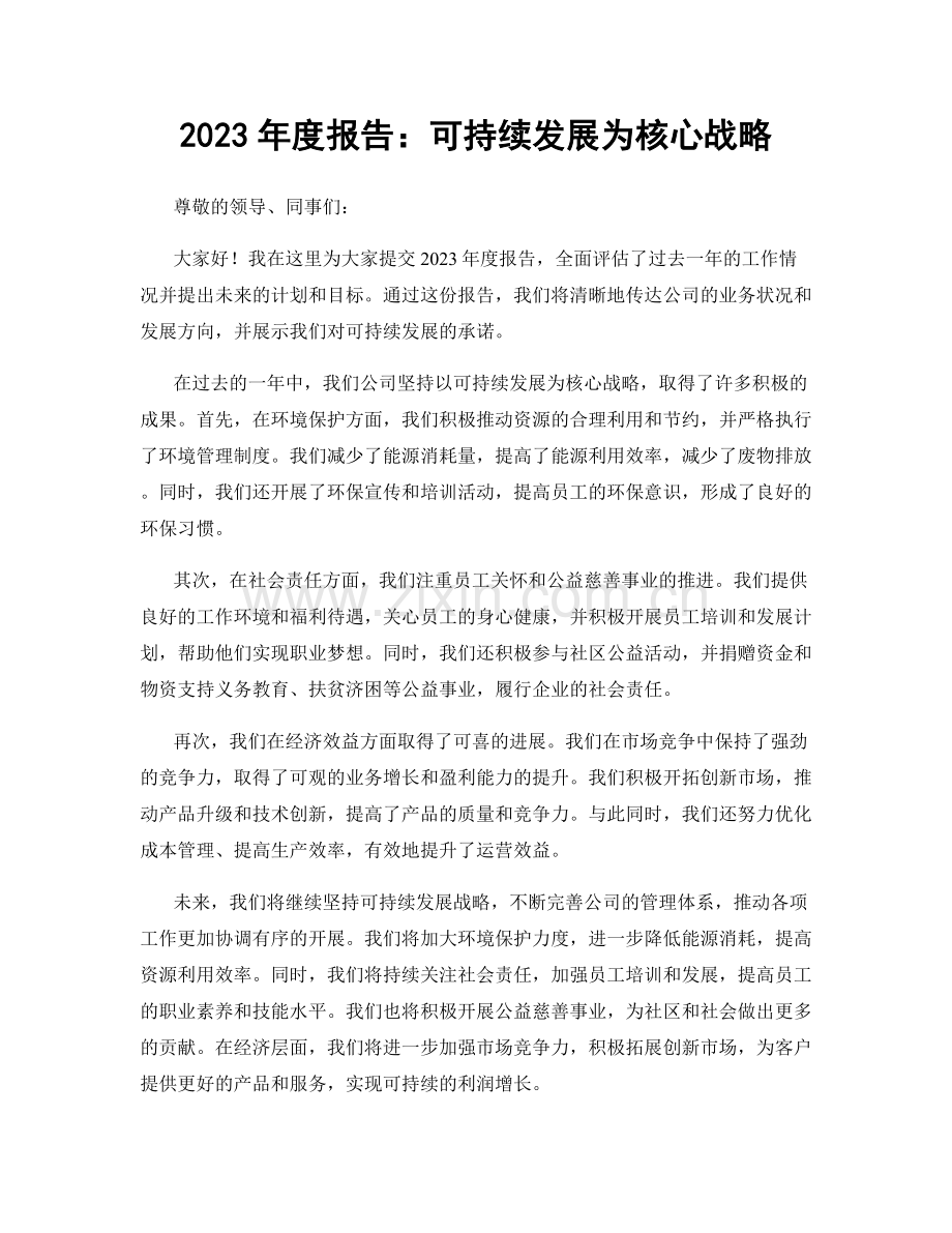 2023年度报告：可持续发展为核心战略.docx_第1页