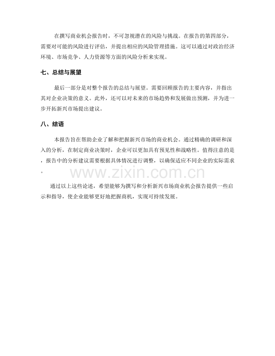 新兴市场商业机会报告的撰写与分析.docx_第2页