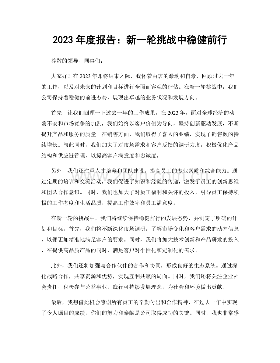 2023年度报告：新一轮挑战中稳健前行.docx_第1页