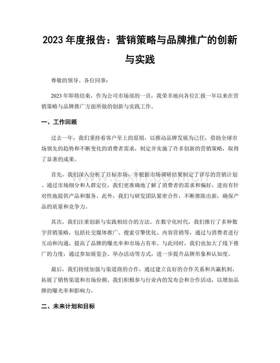 2023年度报告：营销策略与品牌推广的创新与实践.docx_第1页