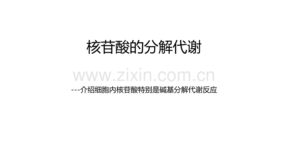 1-核苷酸分解代谢.pdf_第1页