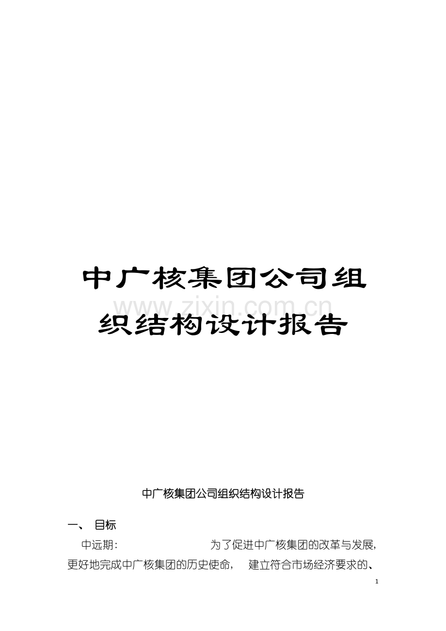 中广核集团公司组织结构设计报告模板.doc_第1页