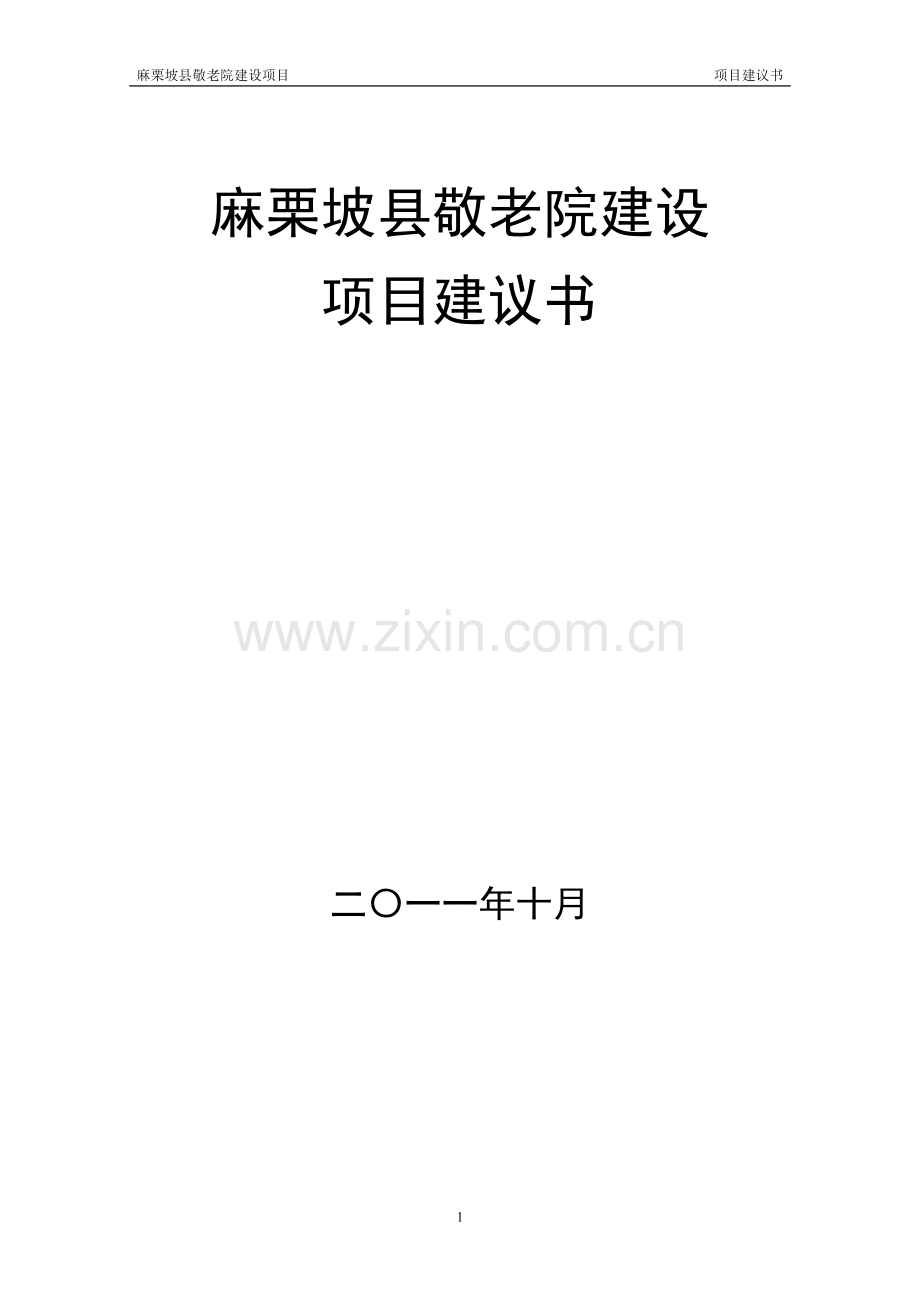 麻栗坡县中心敬老院项目投资可行性研究报告及投资可行性研究报告.doc_第1页