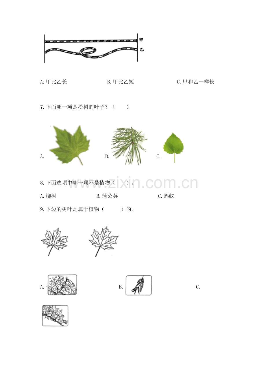 教科版小学一年级上册科学期末测试卷.docx_第2页