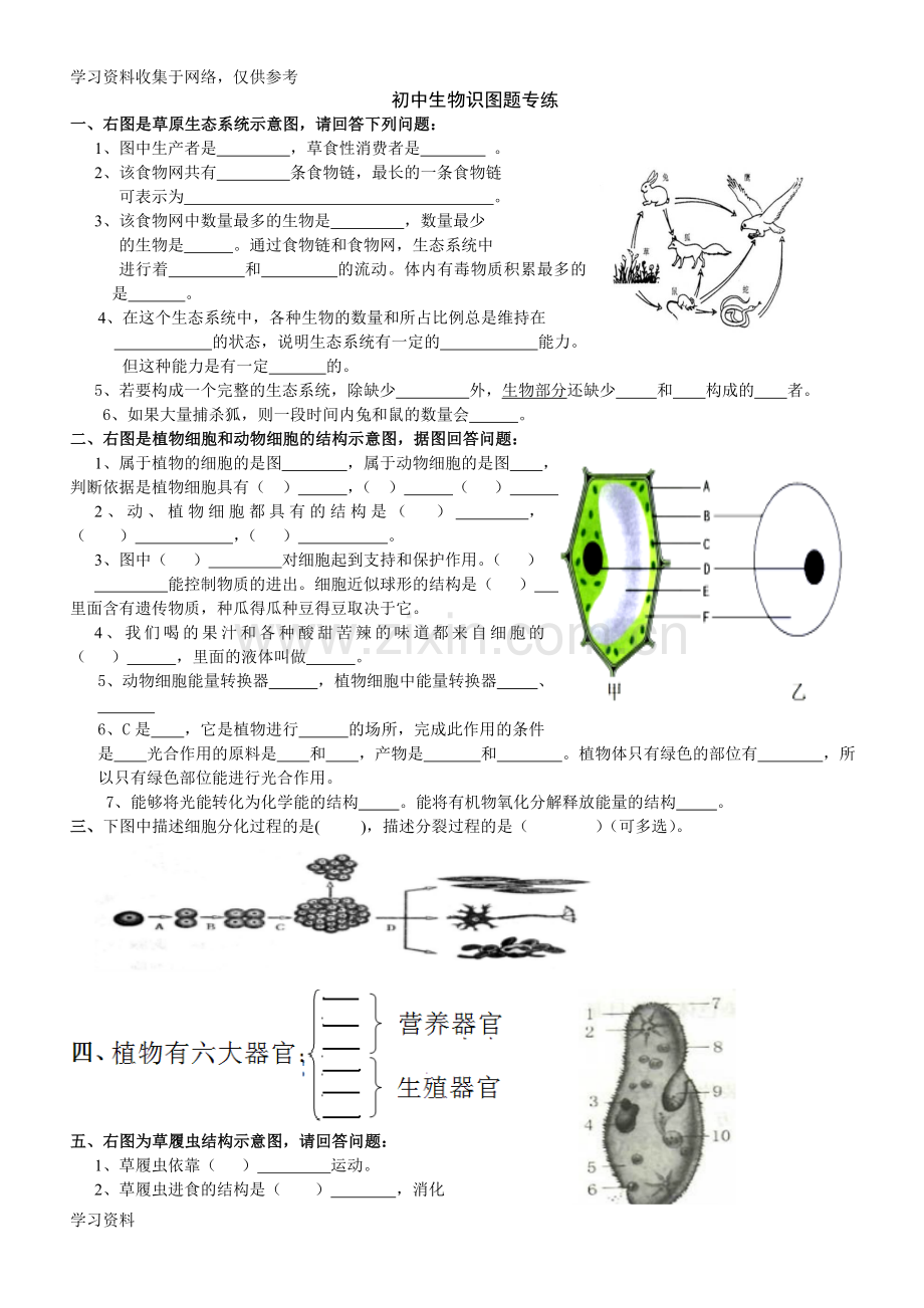 初中生物识图实验和答案.doc_第1页