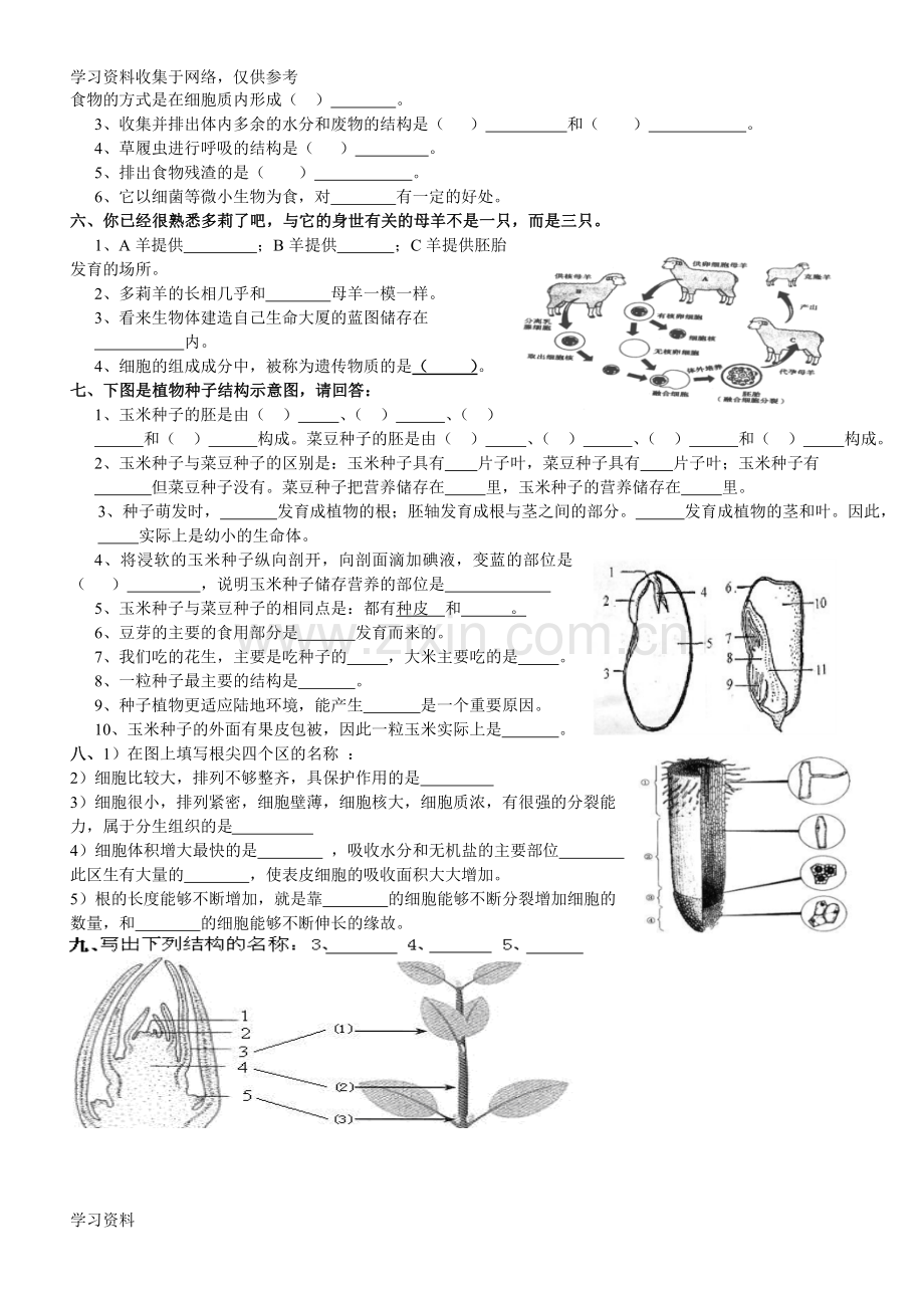 初中生物识图实验和答案.doc_第2页