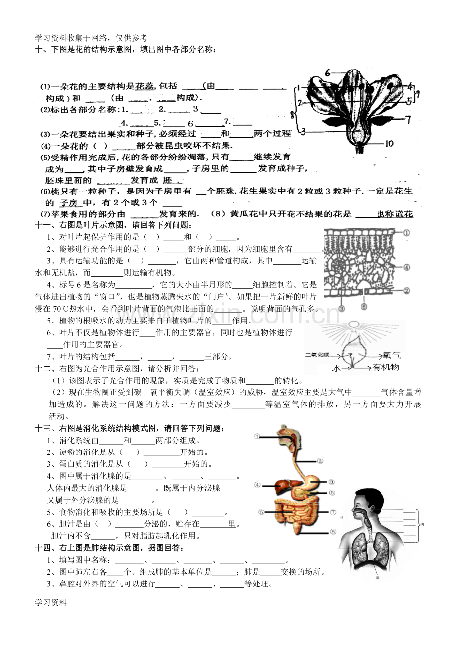 初中生物识图实验和答案.doc_第3页