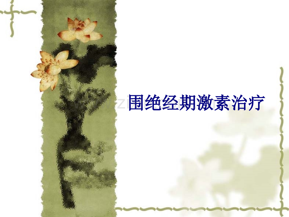 医学围绝经期激素治疗PPT.ppt_第1页