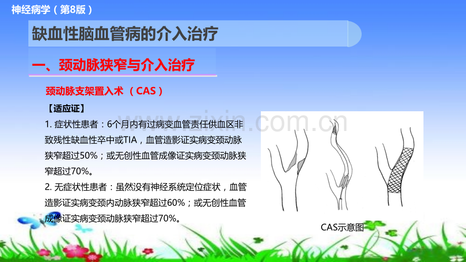 医学缺血性脑血管病的介入治疗PPT.pptx_第3页