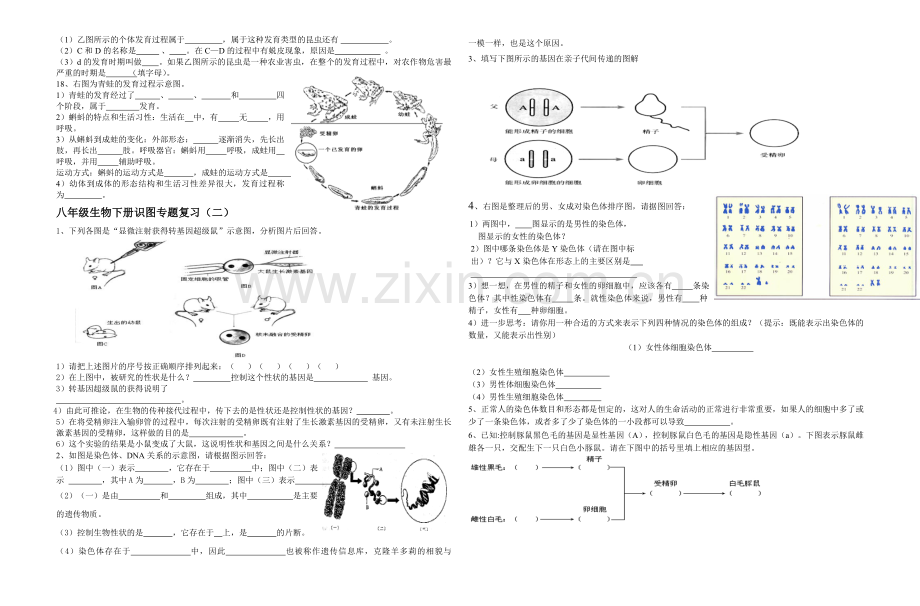 八年级生物下册识图专题复习.doc_第3页