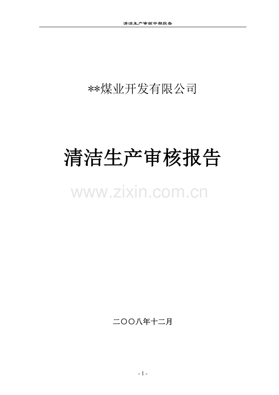 煤业开发有限公司清洁生产审核报告.doc_第1页