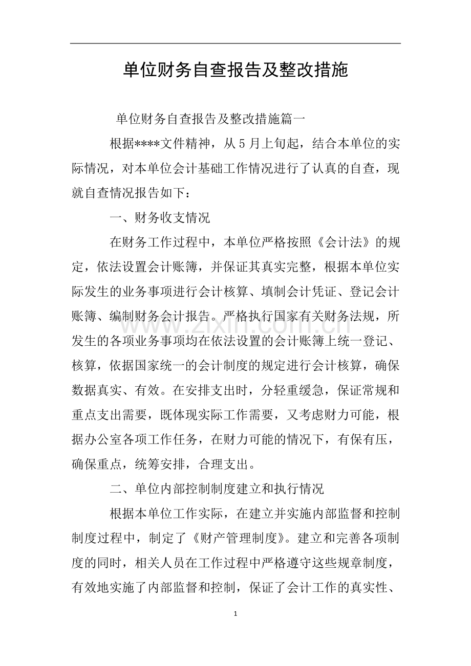 单位财务自查报告及整改措施.doc_第1页