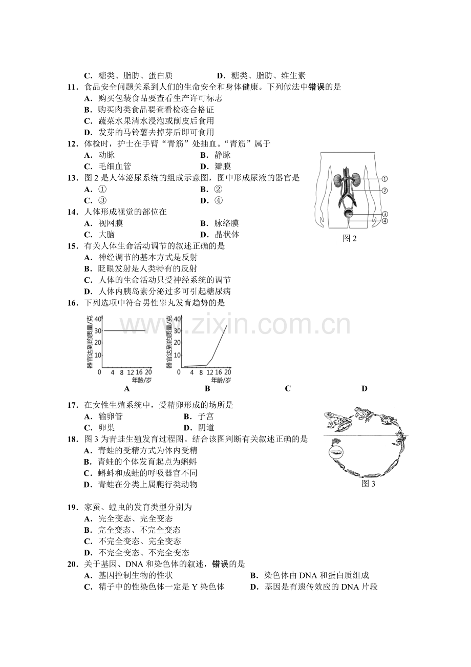 深圳市生物与地理会考试题资料.doc_第2页