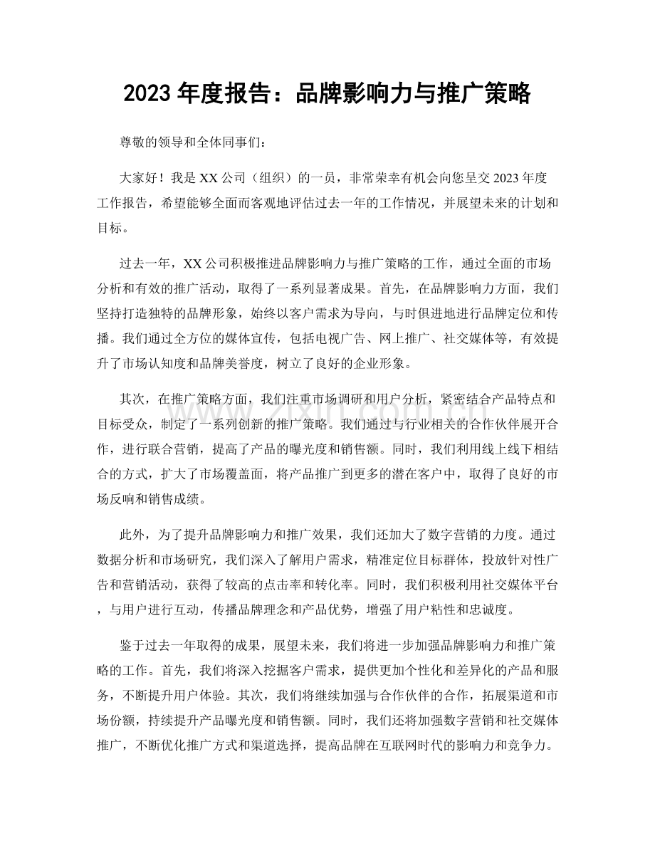 2023年度报告：品牌影响力与推广策略.docx_第1页