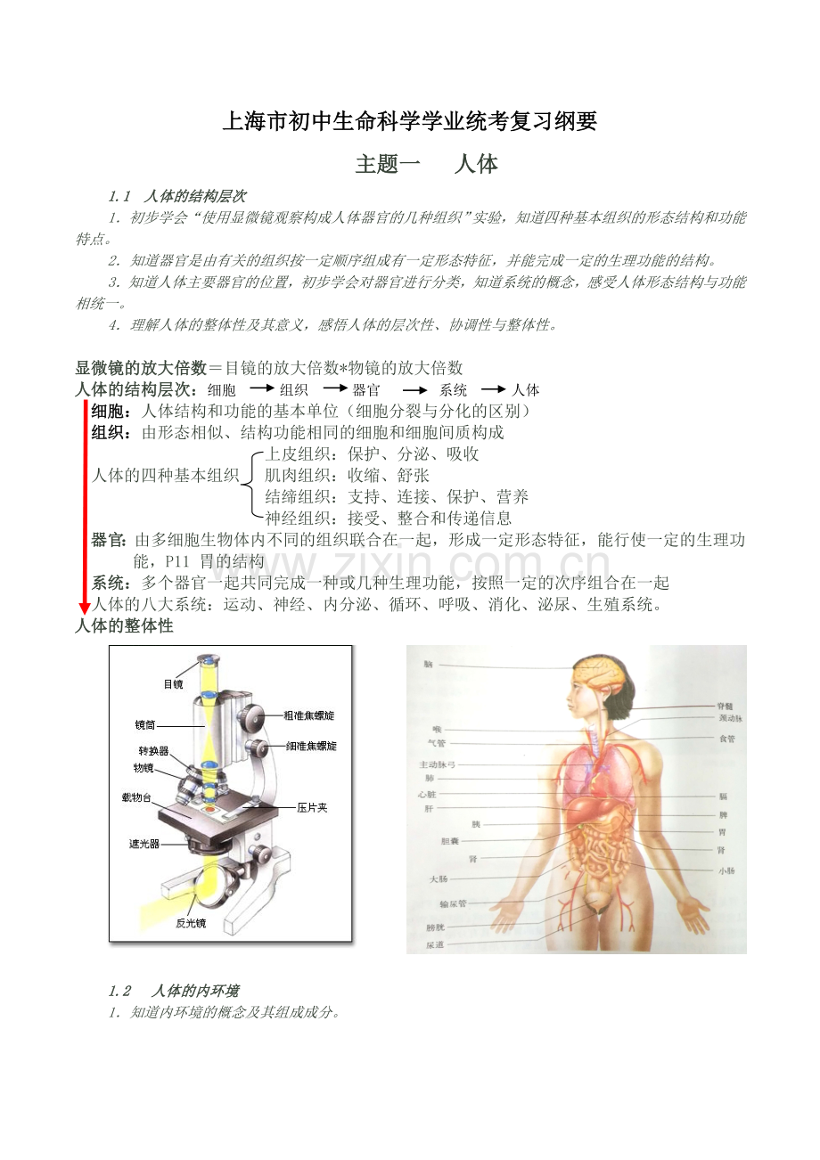 上海初中生命科学考试学业考试复习纲要资料.doc_第1页