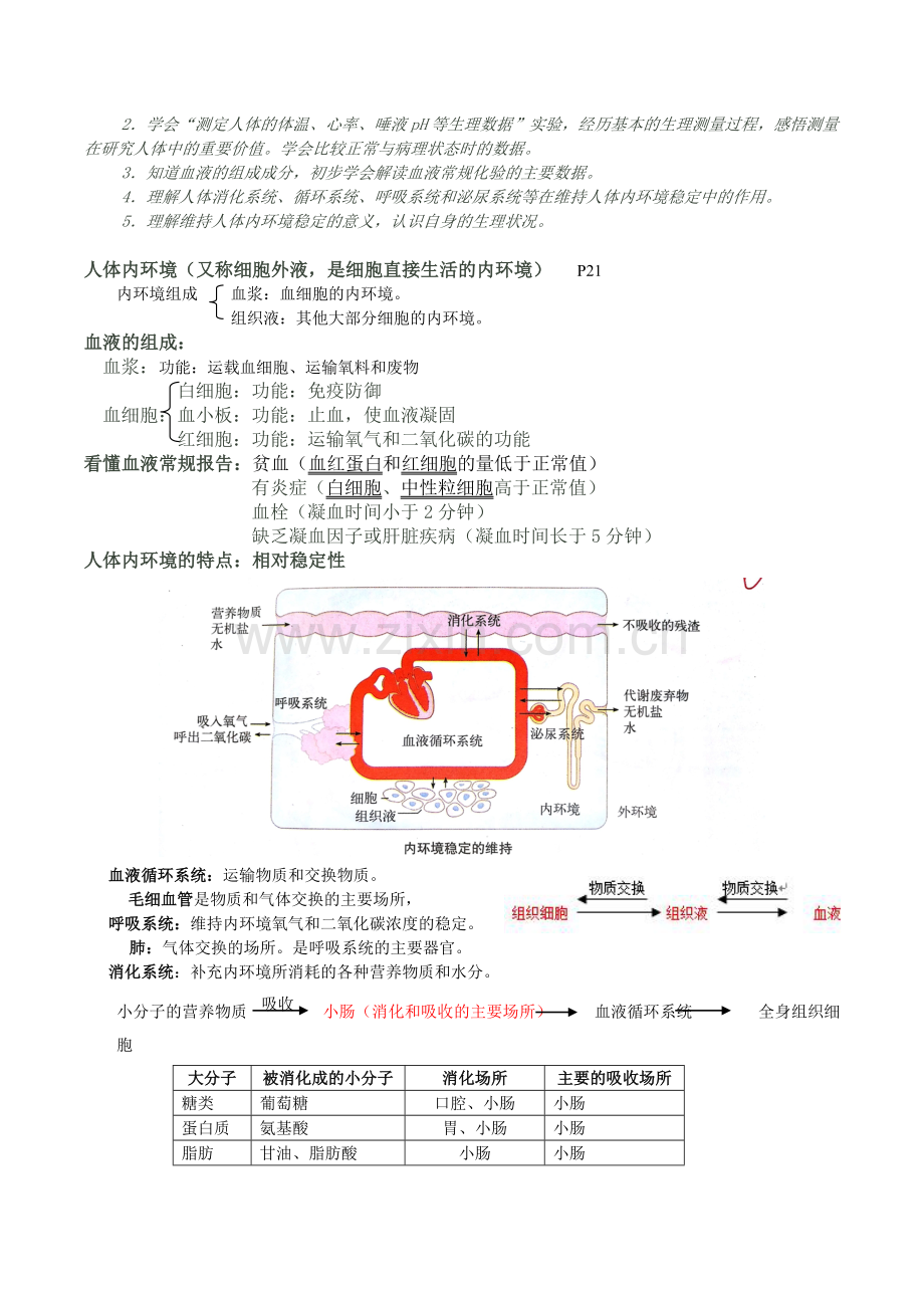 上海初中生命科学考试学业考试复习纲要资料.doc_第2页