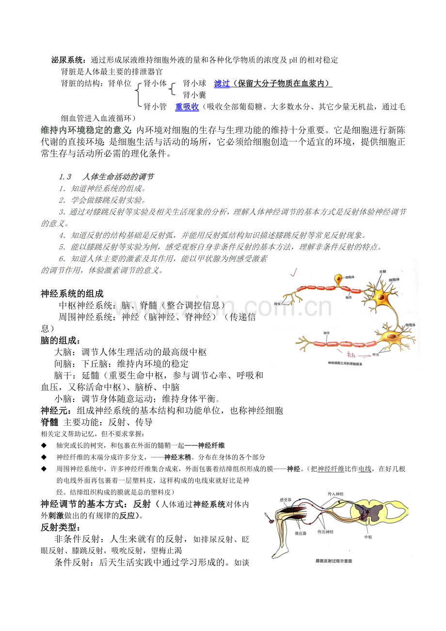 上海初中生命科学考试学业考试复习纲要资料.doc_第3页