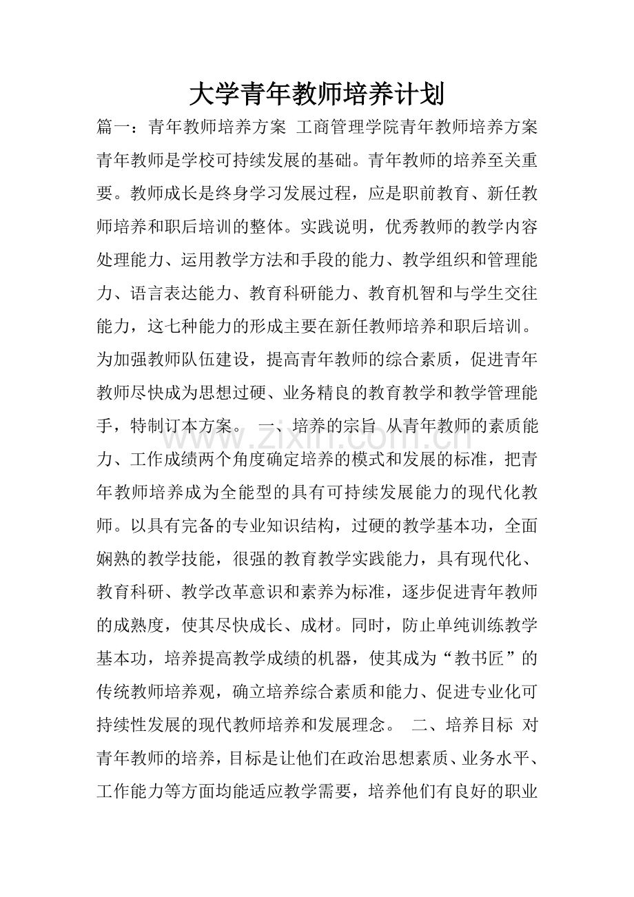 大学青年教师培养计划.doc_第1页