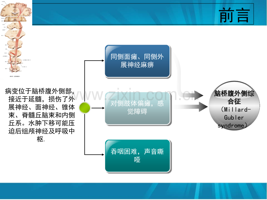 医学桥脑出血的护理个案分享PPT.ppt_第3页