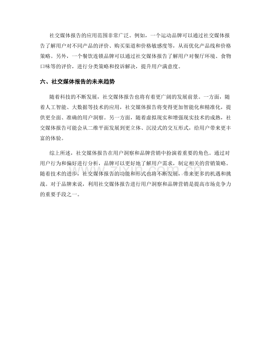 社交媒体报告：用户洞察与品牌营销.docx_第2页